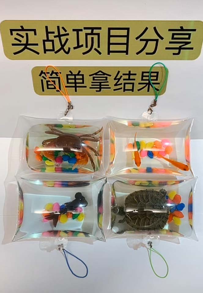 （5392期）最近抖音很火的泡泡鱼手工小成本地摊创业项目，日賺500+项目课程解析插图2