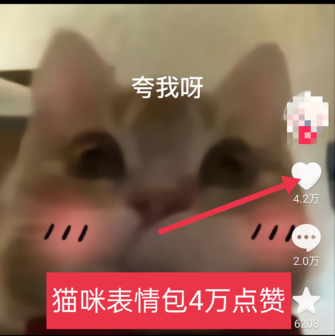 （5498期）黑科技纯原创可爱猫咪图片，全网精准引流，实操5个VX号被加频繁插图2