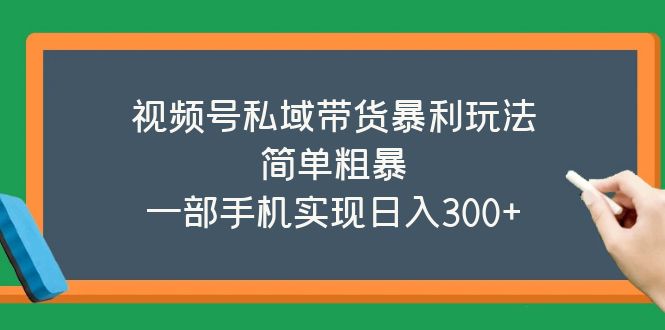 （5544期）视频号私域带货暴利玩法，简单粗暴，一部手机实现日入300+插图