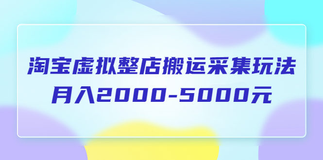 （5931期）淘宝虚拟整店搬运采集玩法分享课：月入2000-5000元（5节课）插图