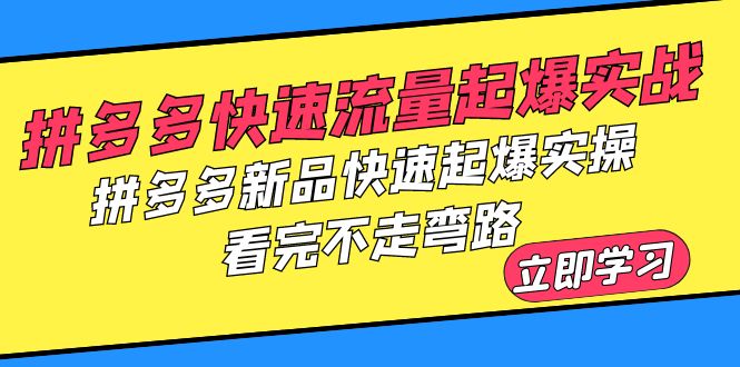 （6253期）拼多多-快速流量起爆实战，拼多多新品快速起爆实操，看完不走弯路插图