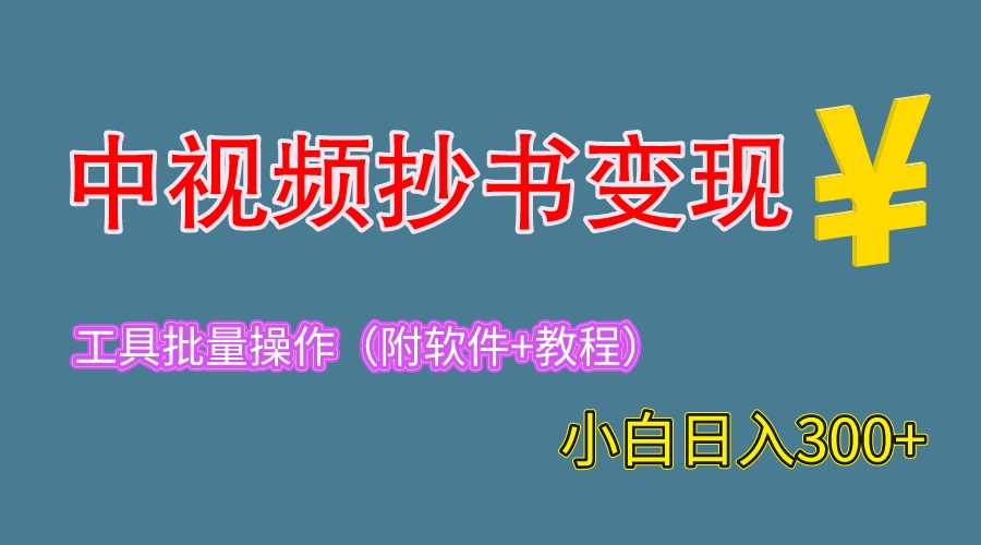 （6246期）2023中视频抄书变现（附工具+教程），一天300+，特别适合新手操作的副业插图