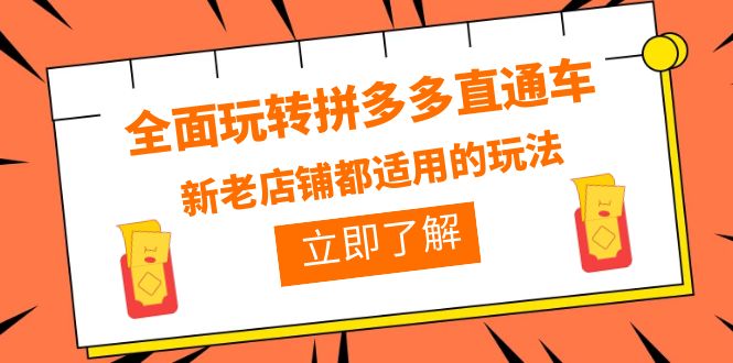 （6294期）全面玩转拼多多直通车，新老店铺都适用的玩法（12节精华课）插图