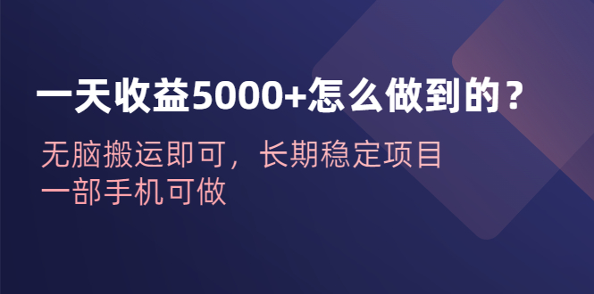 （6435期）一天收益5000+怎么做到的？无脑搬运即可，长期稳定项目，一部手机可做插图