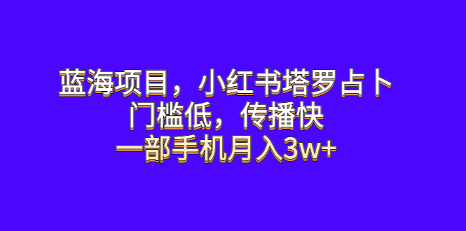 （6427期）蓝海项目，小红书塔罗占卜，门槛低，传播快，一部手机月入3w+插图