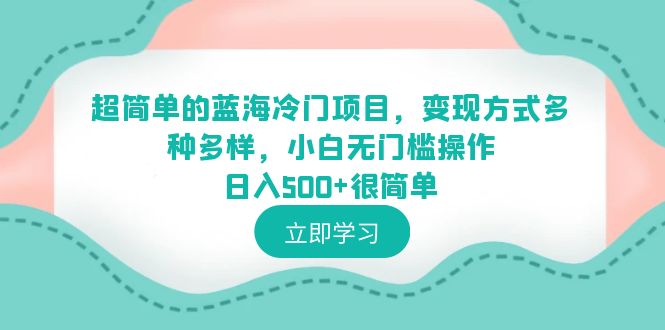 （6422期）超简单的蓝海冷门项目，变现方式多种多样，小白无门槛操作日入500+很简单插图