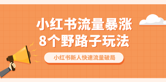 （6476期）小红书流量-暴涨8个野路子玩法：小红书新人快速流量破局（8节课）插图