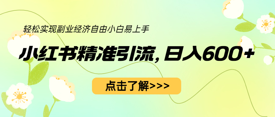 （6515期）小红书精准引流，小白日入600+，轻松实现副业经济自由（教程+1153G资源）插图