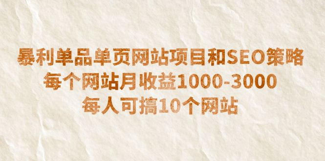 （6503期）暴利单品单页网站项目和SEO策略  每个网站月收益1000-3000  每人可搞10个插图