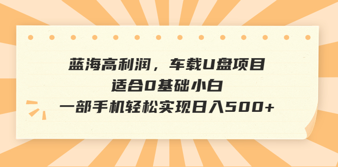 （6600期）蓝海高利润，车载U盘项目，适合0基础小白，一部手机轻松实现日入500+插图