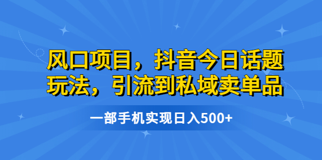 （6588期）风口项目，抖音今日话题玩法，引流到私域卖单品，一部手机实现日入500+插图