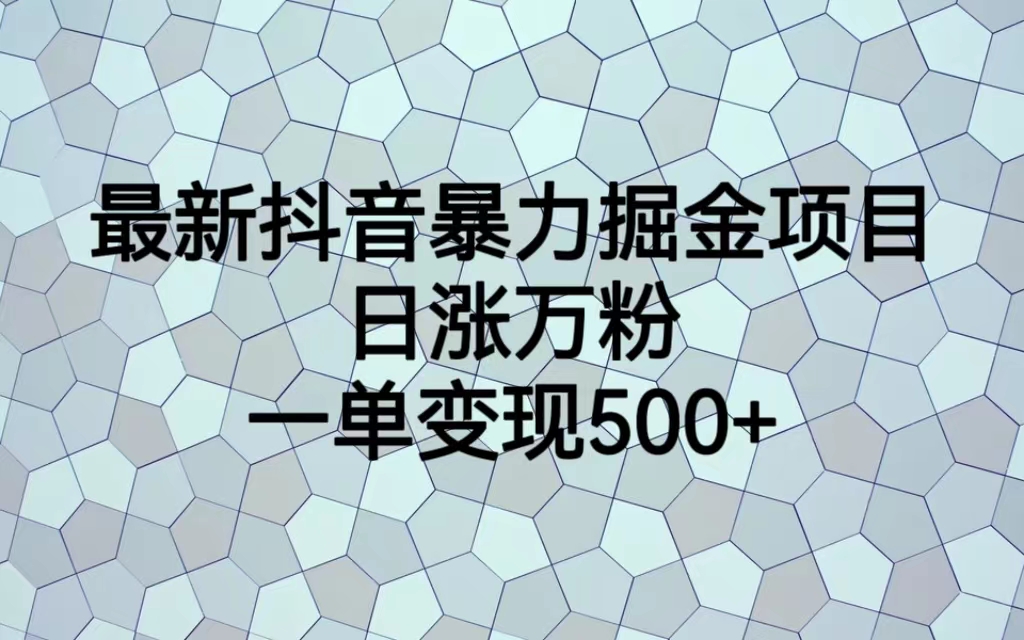 （6660期）最新抖音暴力掘金项目，日涨万粉，一单变现500+插图