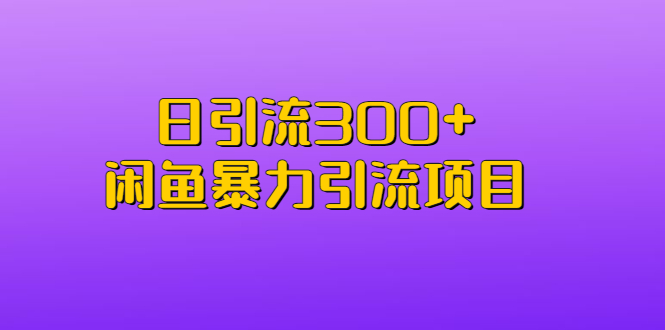 （6694期）日引流300+闲鱼暴力引流项目插图