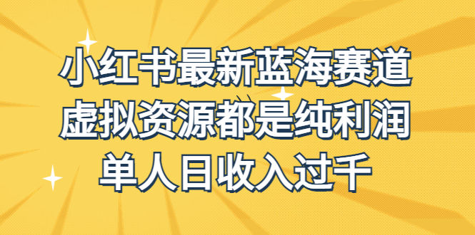 （6721期）外面收费1980的小红书最新蓝海赛道，虚拟资源都是纯利润，单人日收入过千插图