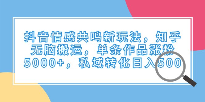 （6758期）抖音情感共鸣新玩法，知乎无脑搬运，单条作品涨粉5000+，私域转化日入500插图