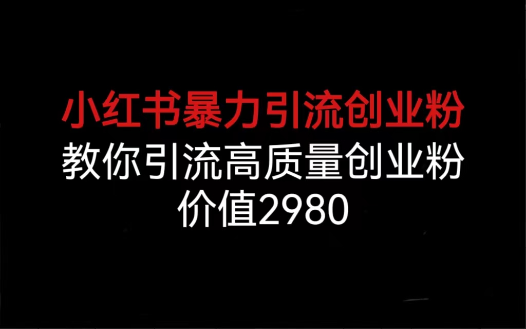 （6779期）小红书暴力引流创业粉，教你引流高质量创业粉，价值2980插图