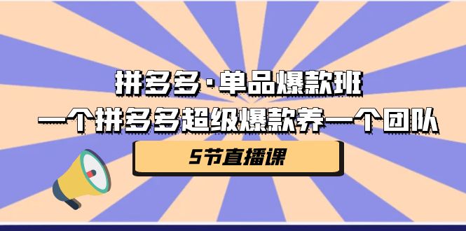 （7019期）拼多多·单品爆款班，一个拼多多超级爆款养一个团队（5节直播课）插图