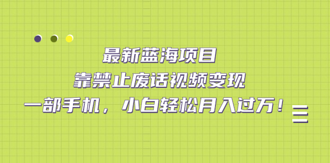 （7276期）最新蓝海项目，靠禁止废话视频变现，一部手机，小白轻松月入过万！插图