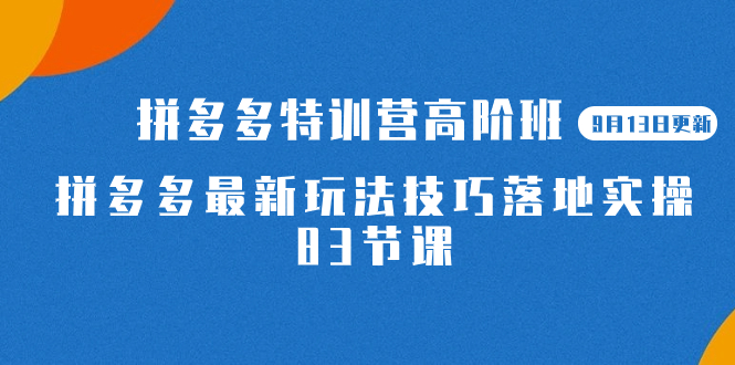 （7295期）2023拼多多·特训营高阶班【9月13日更新】拼多多最新玩法技巧落地实操-83节插图