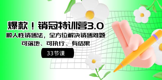 （8573期）爆款！销冠特训营3.0之顺人性销售法，全方位解决销售难题、可落地、可执…插图