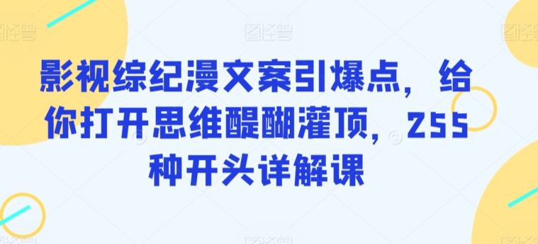 影视综纪漫文案引爆点，给你打开思维醍醐灌顶，255种开头详解课插图