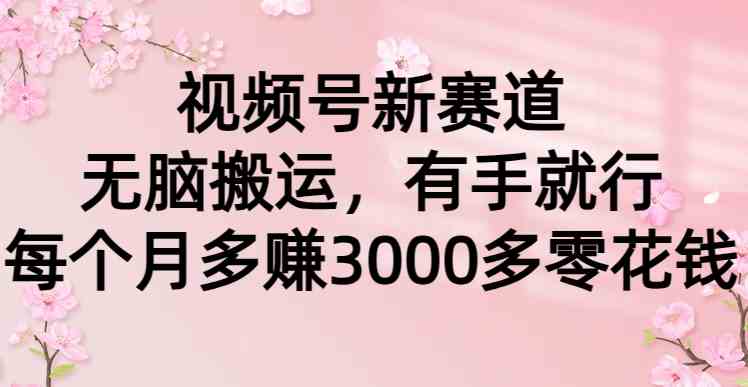 （9278期）视频号新赛道，无脑搬运，有手就行，每个月多赚3000多零花钱插图