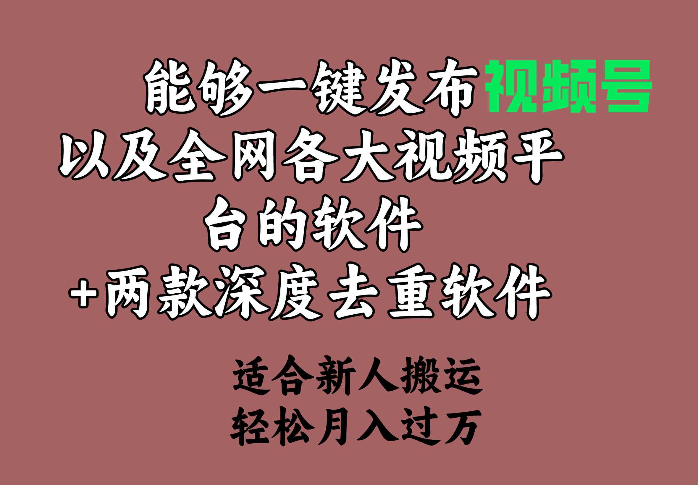 （9319期）能够一键发布视频号以及全网各大视频平台的软件+两款深度去重软件 适合…插图