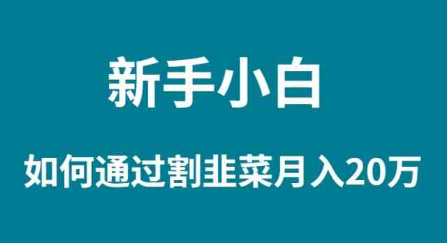 （9308期）新手小白如何通过割韭菜月入 20W插图