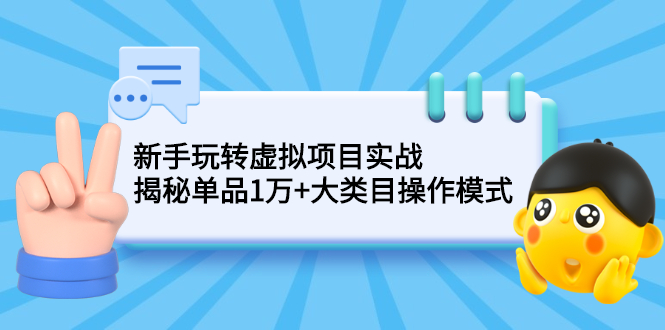 （2144期）新手玩转虚拟项目实战，揭秘单品1万+大类目操作模式【视频课程】插图