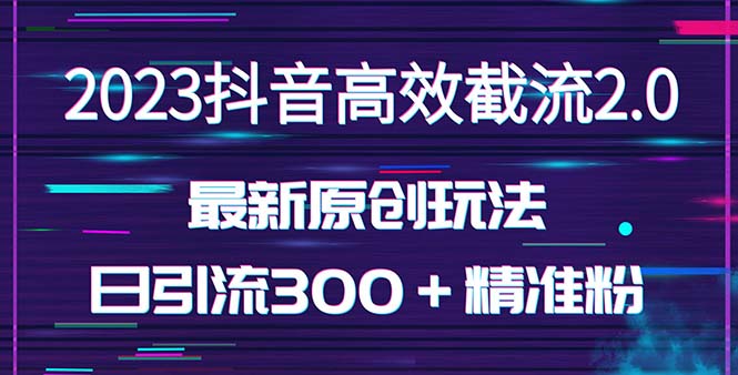 （5293期）日引300＋创业粉，独家抖音高效截流2.0玩法（价值1280）插图