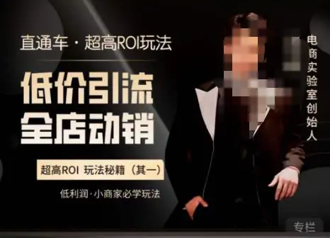 电商冰可乐·直通车·《低价引流·全店动销》,直通车·超高ROI玩法(其一)全店动销必学玩法 电商冰可乐·直通车·《低价引流·全店动销》,直通车·超高ROI玩法(其一)全店动销必学玩法