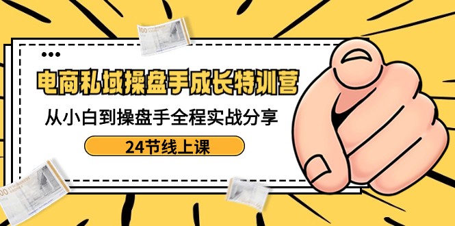 电商私域操盘手成长特训营：从小白到操盘手全程实战分享-24节线上课