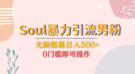 Soul暴力引流男粉玩法，无脑粗暴日入500＋，0门槛即可操作【揭秘】