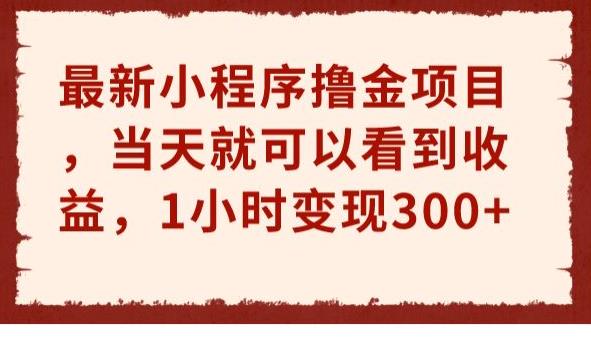 最新小程序撸金项目，当天就可以看到收益，1小时变现300+【揭秘】