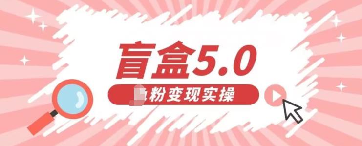 盲盒交友5.0，男粉变现实操项目，亲测变现效果极好【揭秘】