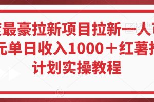 年度最豪拉新项目拉新一人可达40元单日收入1000＋红薯推广计划实操教程