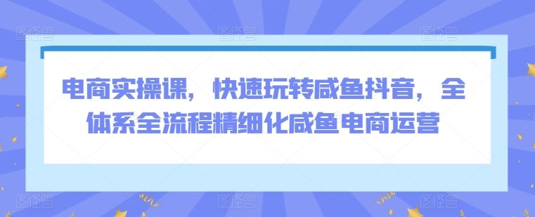 电商实操课，快速玩转咸鱼抖音，全体系全流程精细化咸鱼电商运营插图