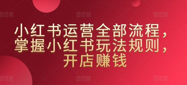 小红书运营全部流程，掌握小红书玩法规则，开店赚钱插图