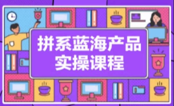 拼系冷门蓝海产品实操课程，从注册店铺到选品上架到流量维护环环相扣插图