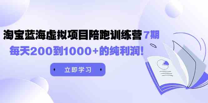 （9541期）黄岛主《淘宝蓝海虚拟项目陪跑训练营7期》每天200到1000+的纯利润插图