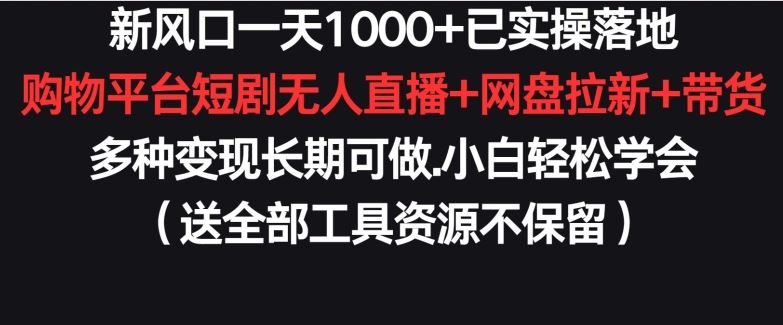 新风口一天1000+已实操落地购物平台短剧无人直播+网盘拉新+带货多种变现长期可做【揭秘】插图