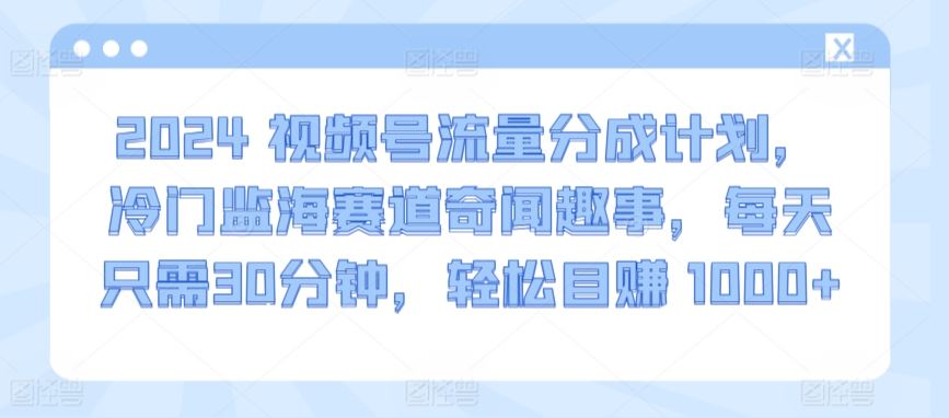 2024视频号流量分成计划，冷门监海赛道奇闻趣事，每天只需30分钟，轻松目赚 1000+【揭秘】插图