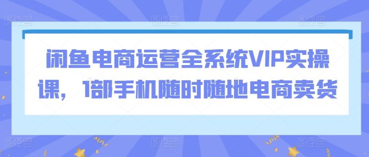 闲鱼电商运营全系统VIP实操课，1部手机随时随地电商卖货插图