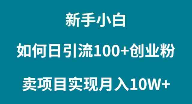 （9556期）新手小白如何通过卖项目实现月入10W+插图