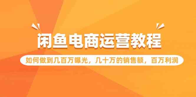 （9560期）闲鱼电商运营教程：如何做到几百万曝光，几十万的销售额，百万利润插图