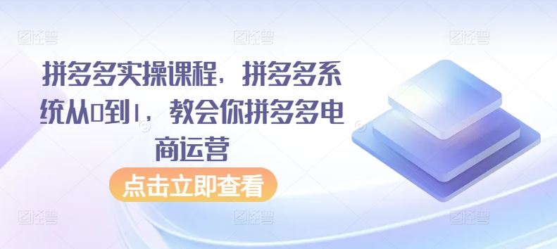 拼多多实操课程，拼多多系统从0到1，教会你拼多多电商运营插图