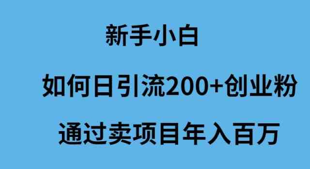 （9668期）新手小白如何日引流200+创业粉通过卖项目年入百万插图