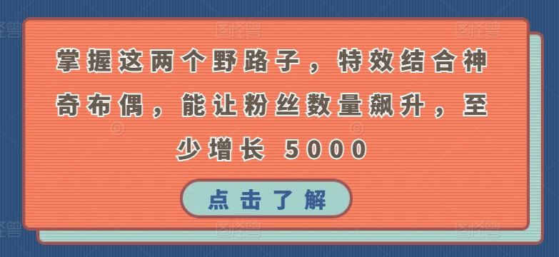 掌握这两个野路子，特效结合神奇布偶，能让粉丝数量飙升，至少增长 5000【揭秘】插图