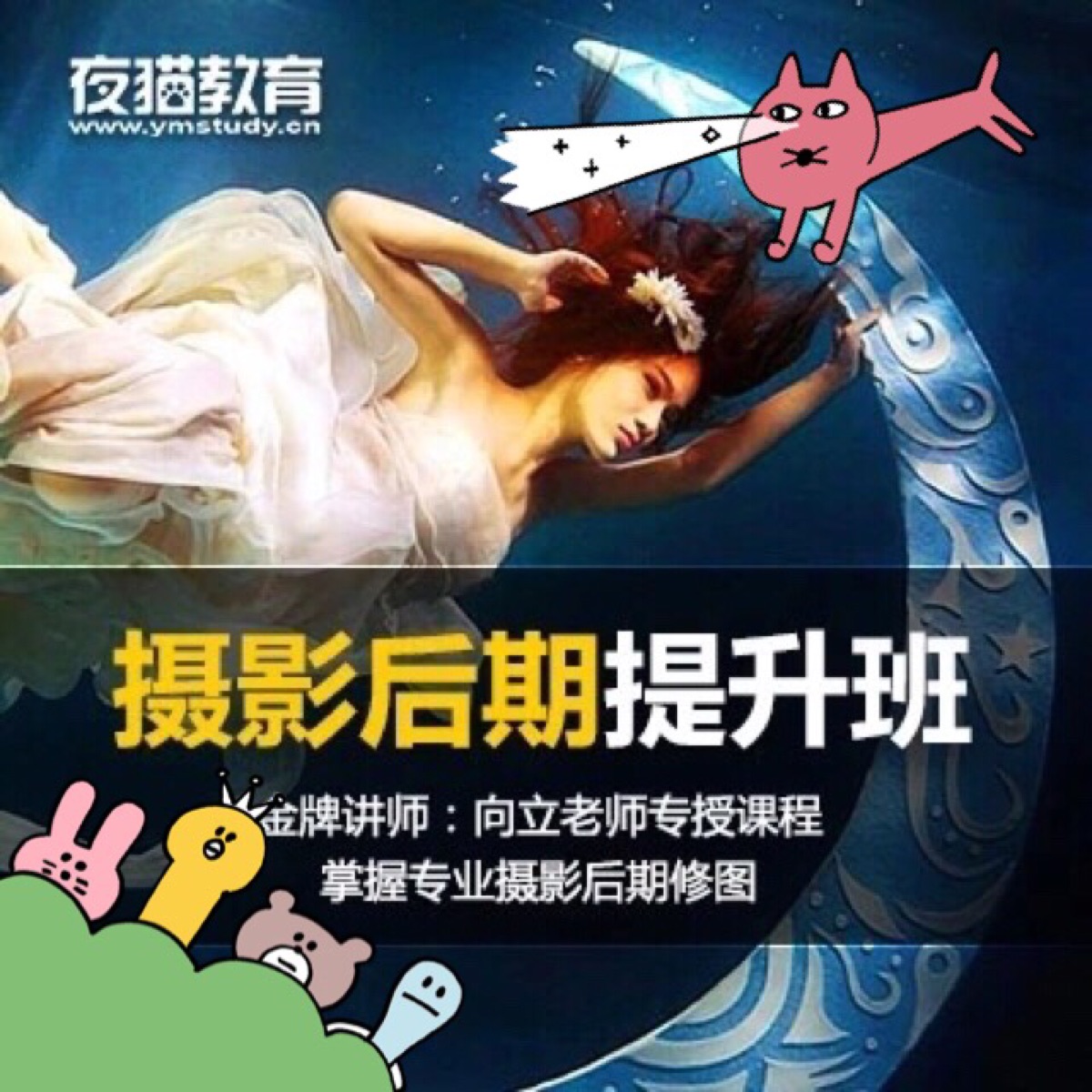 夜猫教育摄影后期提升班（掌握专业摄影后期修图）共11节【价值288元】