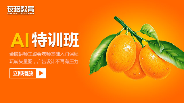 夜猫教育AI特训班（玩转矢量图，广告设计不再有压力）共11节【价值188元】